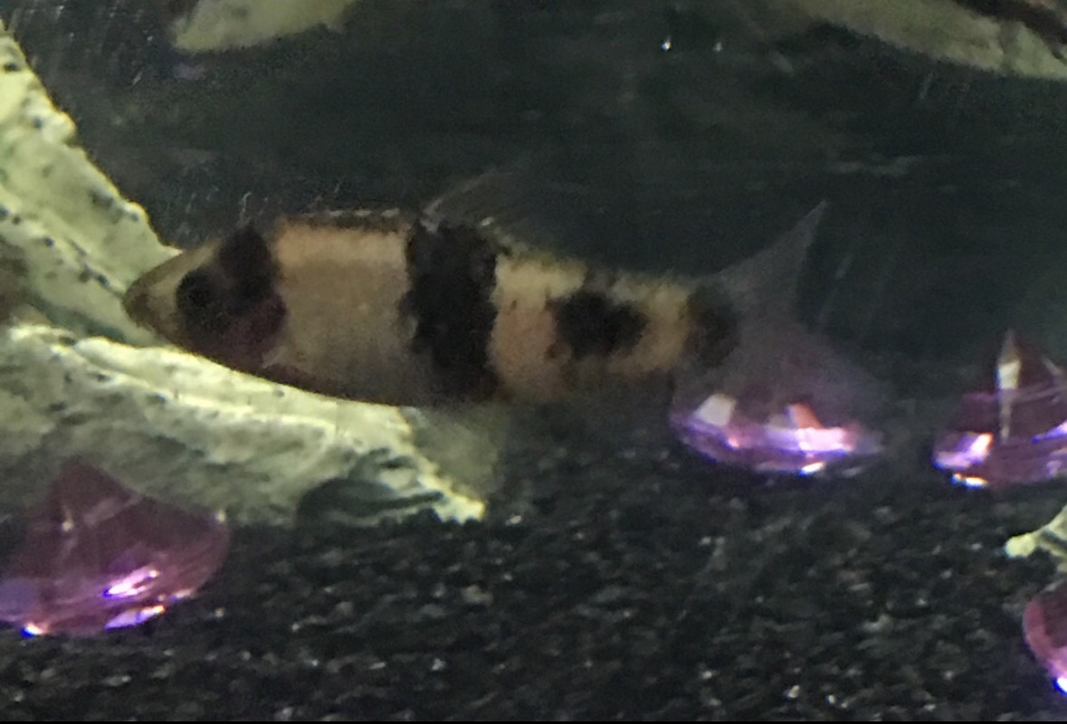 80617926-98A1-499F-83CE-C99F995C8F75