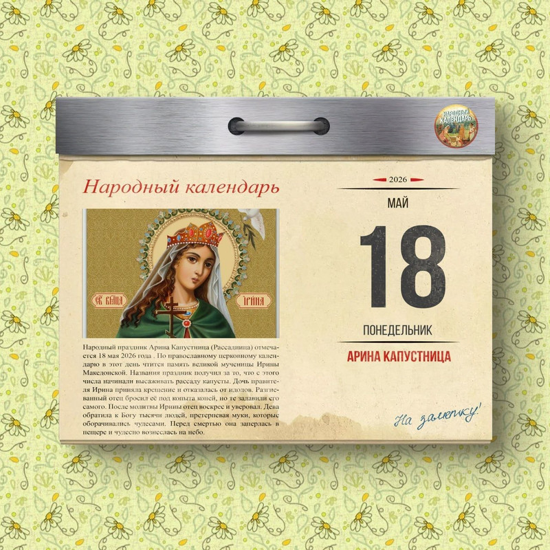 [Изображение: photo-2026-05-17-08-52-04.jpg]