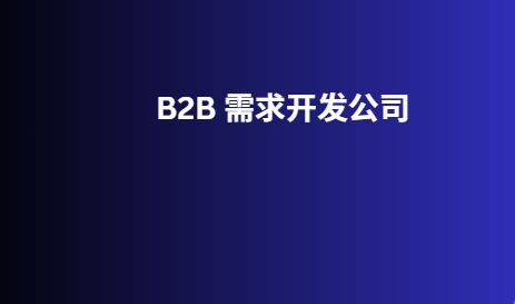 B2B 需求开发公司