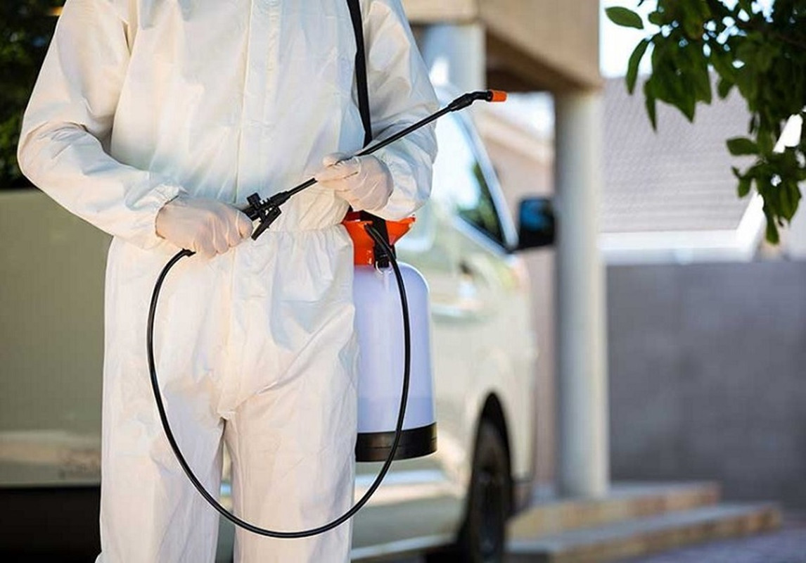 rat control melbourne