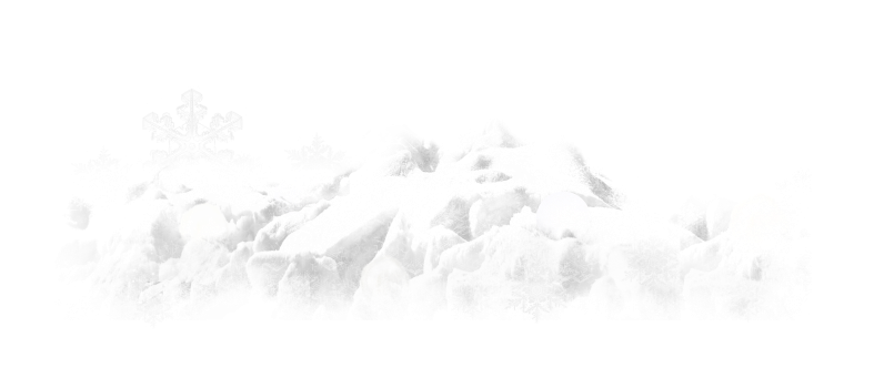 Christmasswishoffairydnmagics