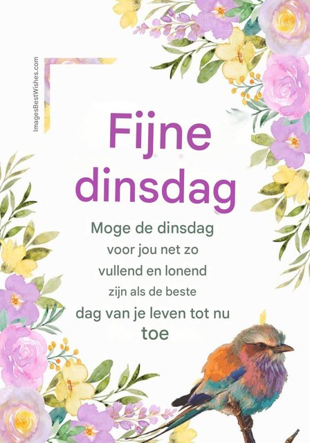 dinsdag