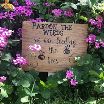 Weeds-feed-bees