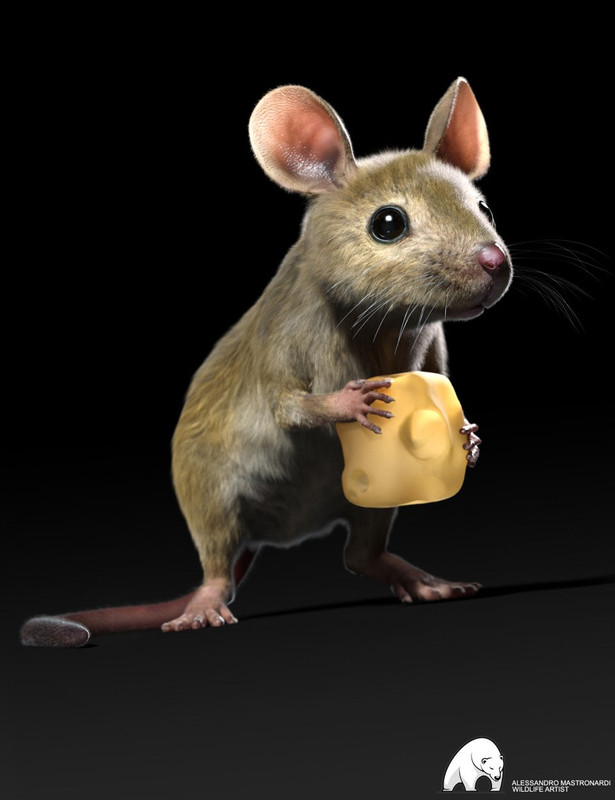 mouse by am 00 main daz3d