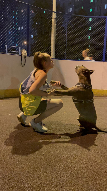 F088B2A4-8272-4E16-9300-7487B4D6C227