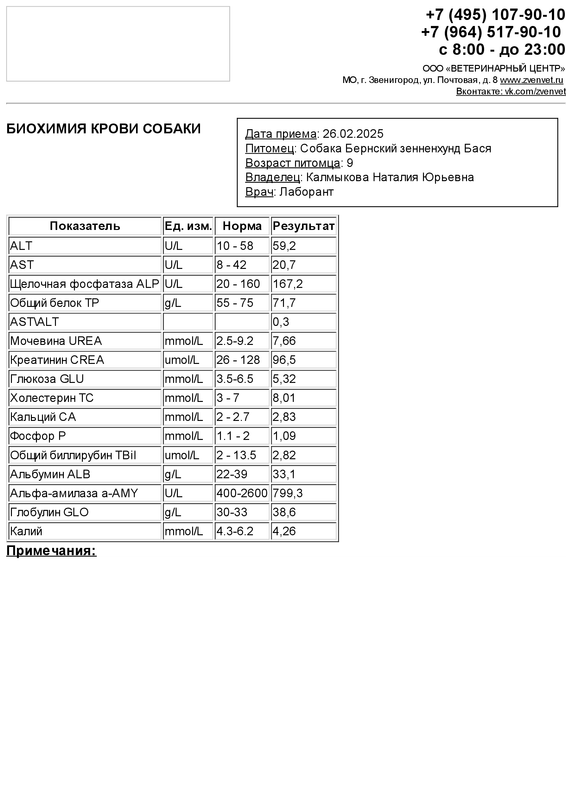 Калмыкова_Бася_БХ