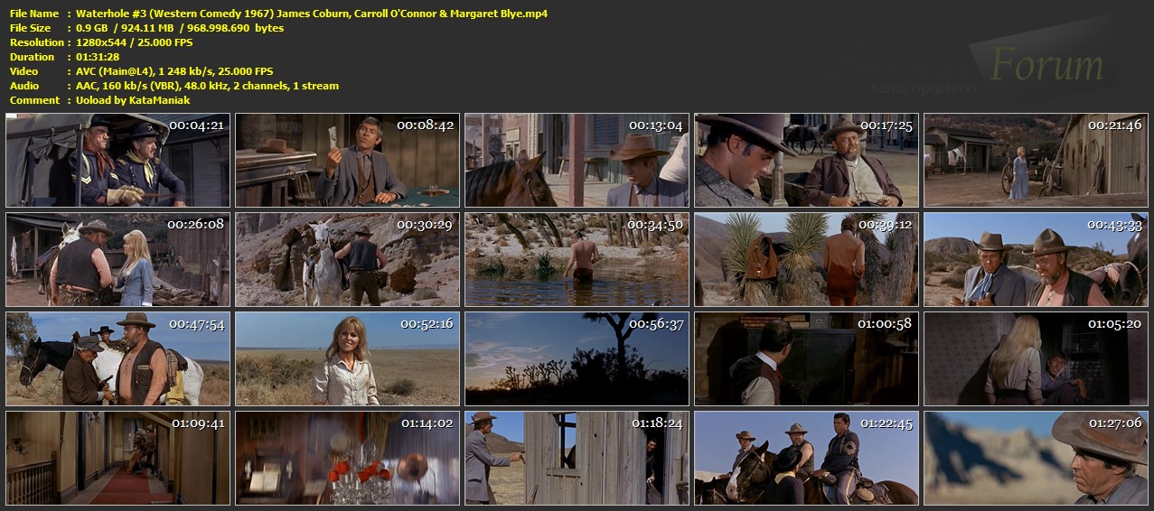 Waterhole-3-Western-Comedy-1967-James-Coburn-Carroll-O-Connor-Margaret-Blye-mp4.jpg