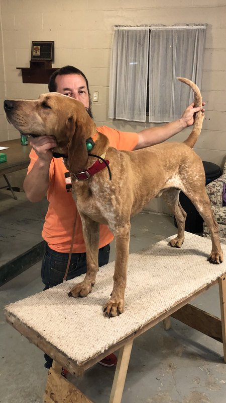 00C303C9-1914-48E5-8B95-8B34C813F220