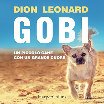 Dion Leonard - Gobi (2024) (mp3 - 128 kbps)