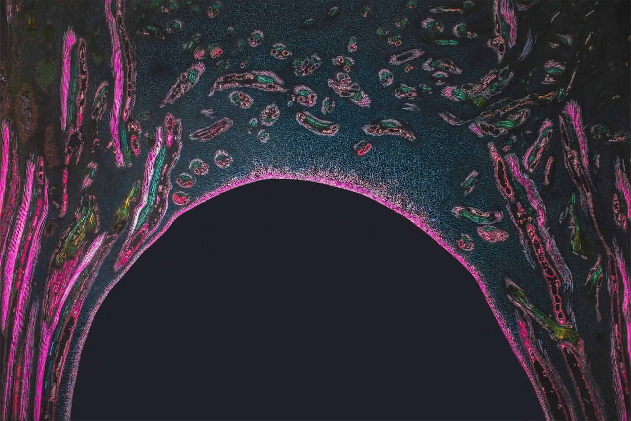 4x DMap TPnd 4K LR