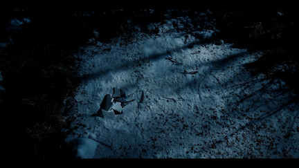 Movie cover image