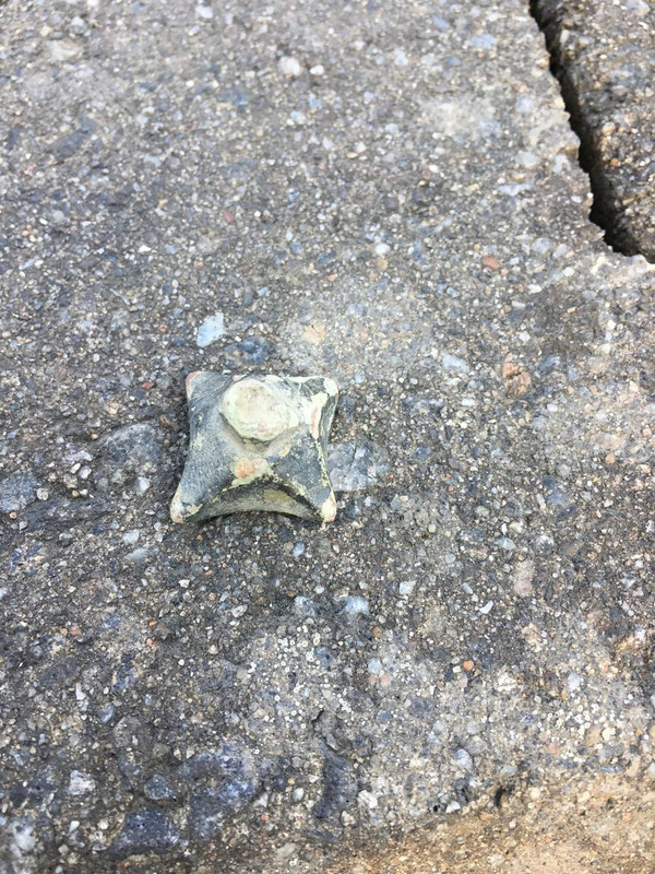 59F1EFD9-4A97-423E-A390-51CDE5247A6E