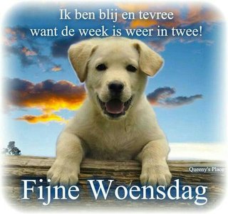 Woensdag-11