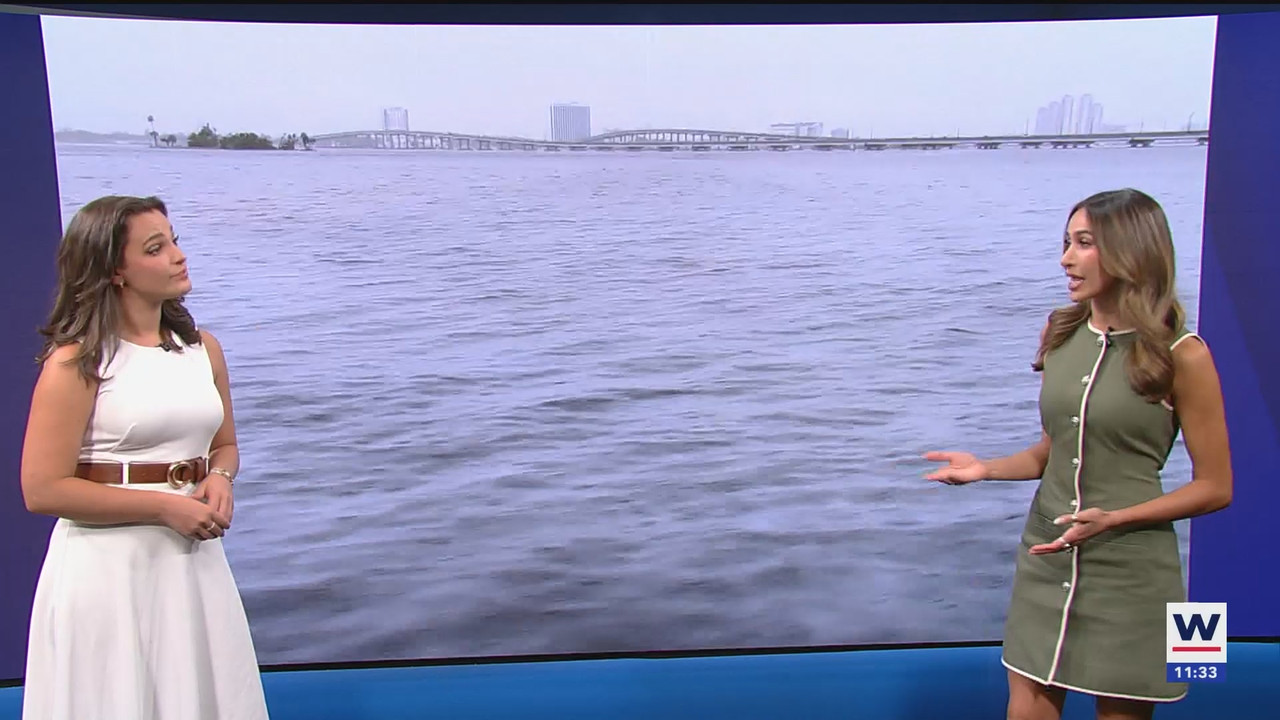 WINK NEWS at 1130am_20250824_16301700.ts_snapshot_03.45.089