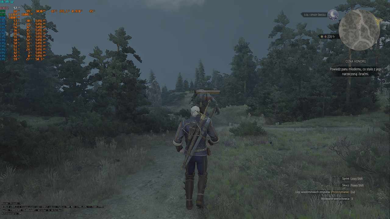 witcher3_2025_08_12_16_49_13_041