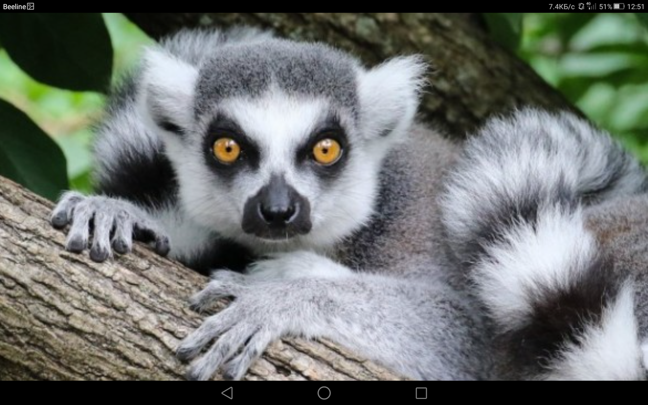 Screenshot_2023-10-27-12-51-01