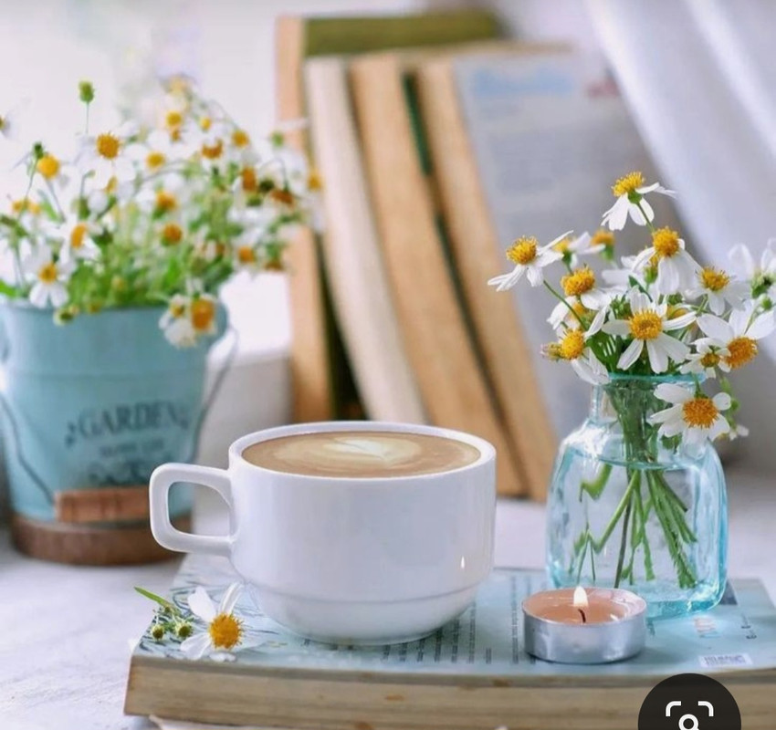 Screenshot_20230712_004529_Pinterest