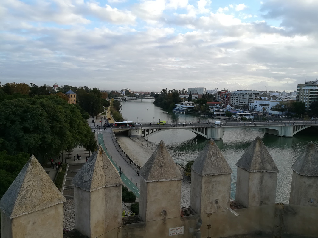 Día tres: El alcázar de Sevilla y la Catedral. - Sevilla, bajo la lluvia de otoño (42)