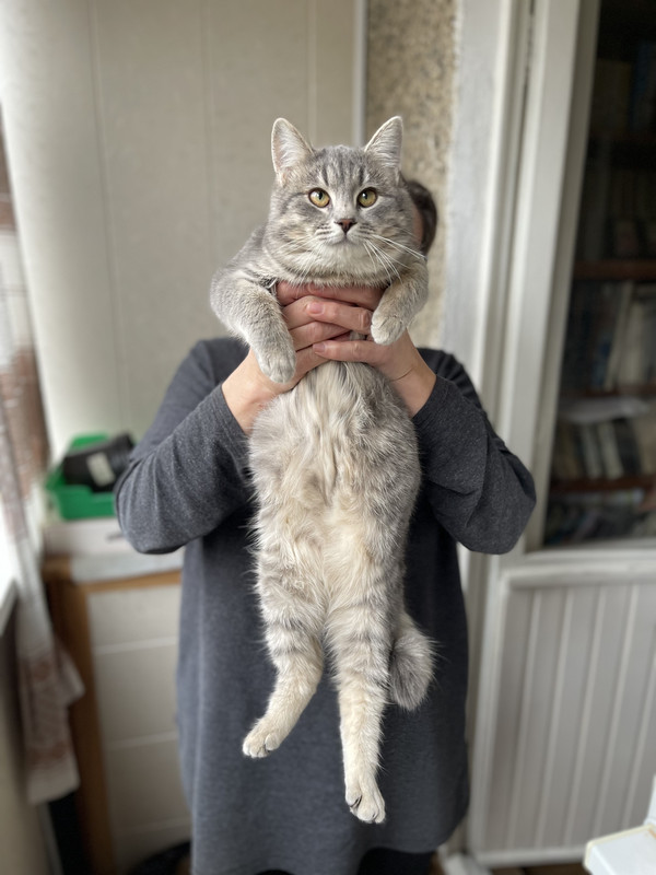 69016AA2-CEA1-49E8-B558-D720FC8EFD0A