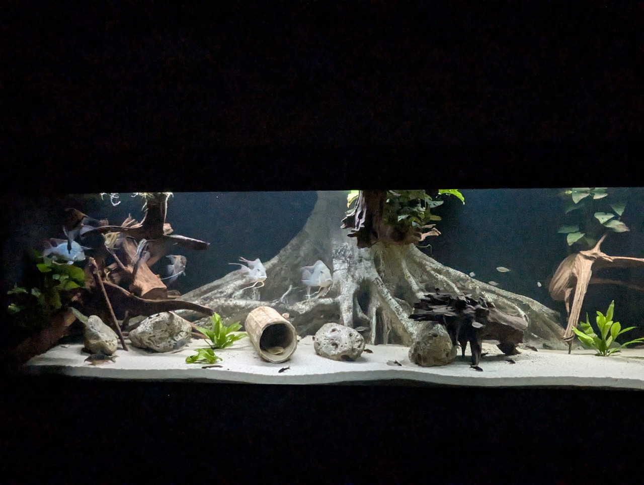 PXL 20251227 193807486 RAW 01 COVER