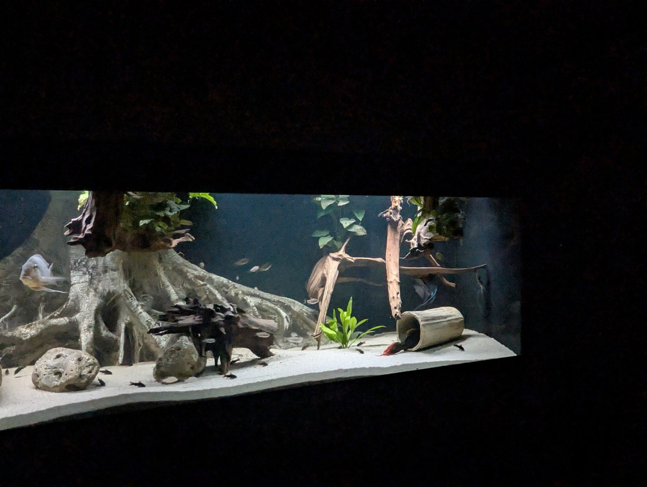 PXL 20251227 193811009 RAW 01 COVER