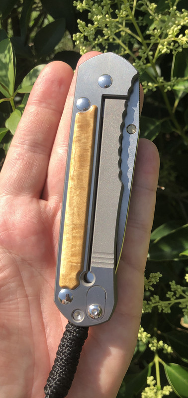 03633ED2-5745-4FBA-8FB5-D17E3C7B7CAB