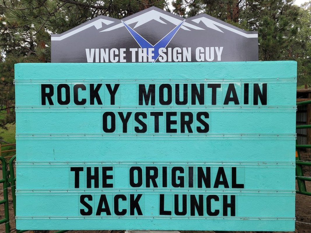 Rocky Mt Oysters