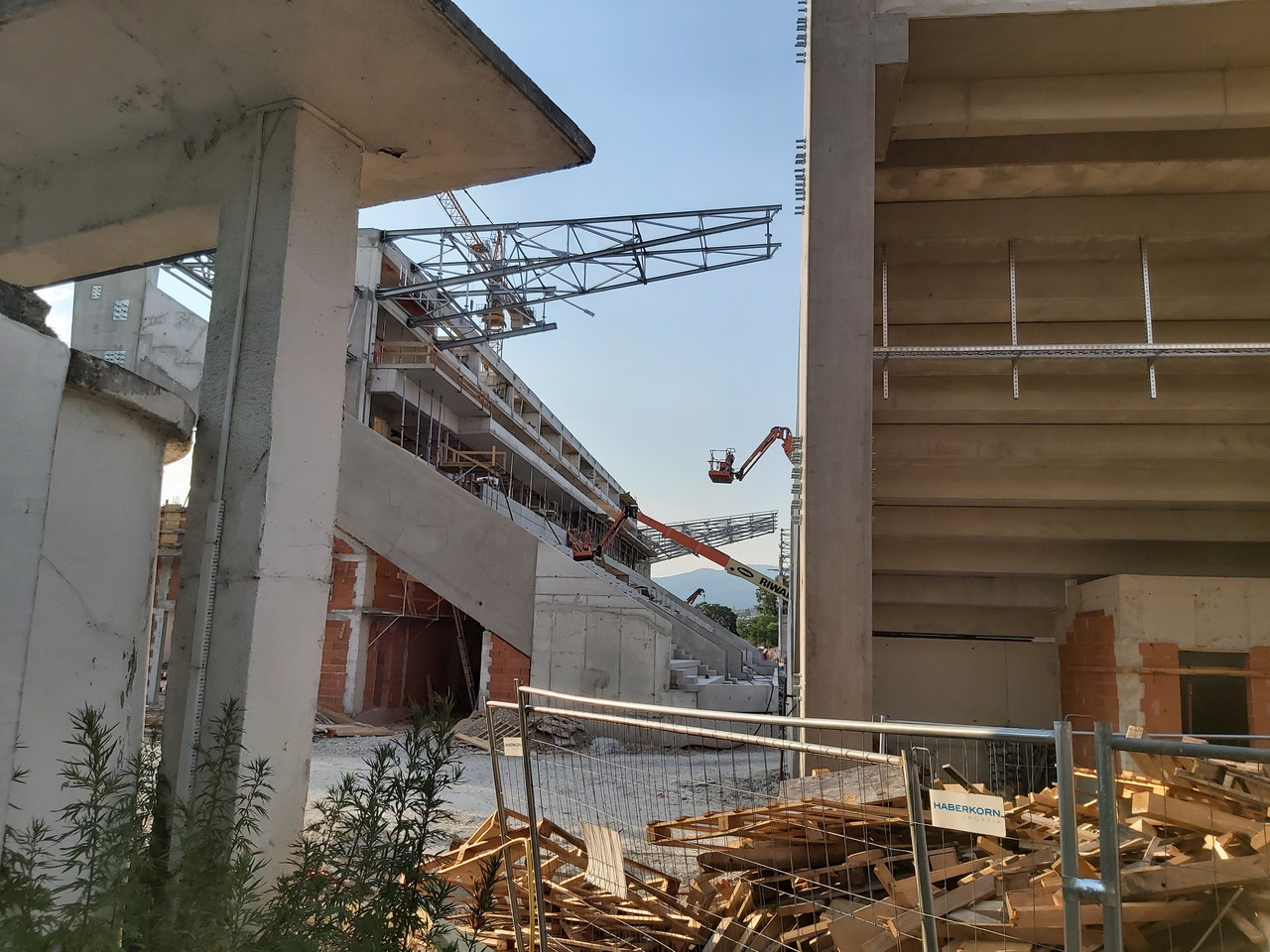 kranjca-20260629-14.jpg