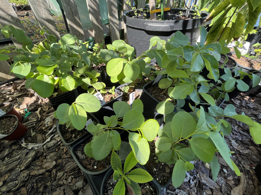 67233CA9-68E2-43E8-8186-96F693A60C72