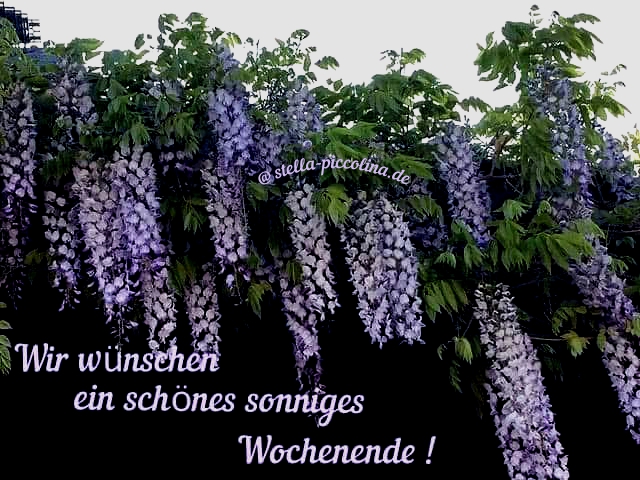 An den Beitrag angehängtes Bild: https://i.postimg.cc/mrX2yWTc/WOCHENSCHO-N-31.jpg