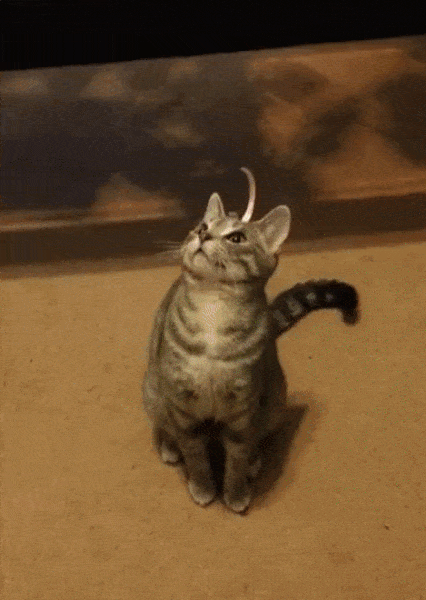 Jvs-OSp-X.gif