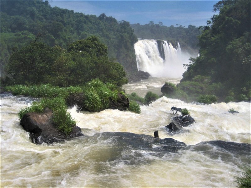 Parque Nacional de Iguaçú-25-2-2010 - Brasil y sus pueblos-2010 (38)