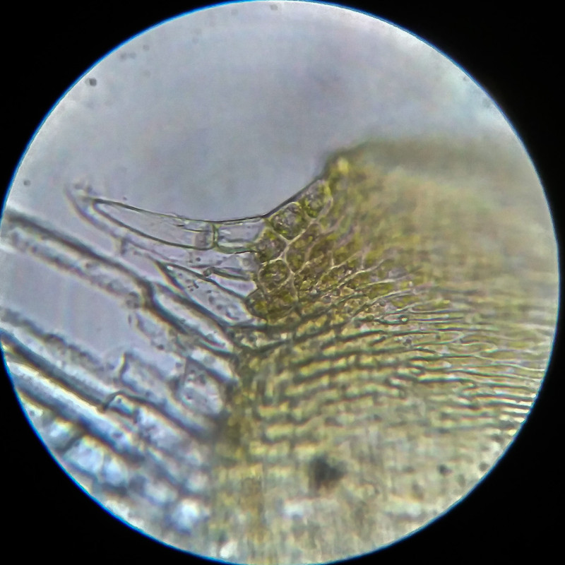 IMG 20250614 204713 HDR