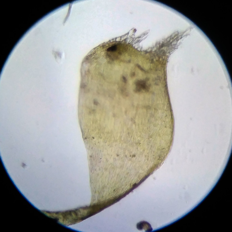 IMG 20250614 205000 HDR