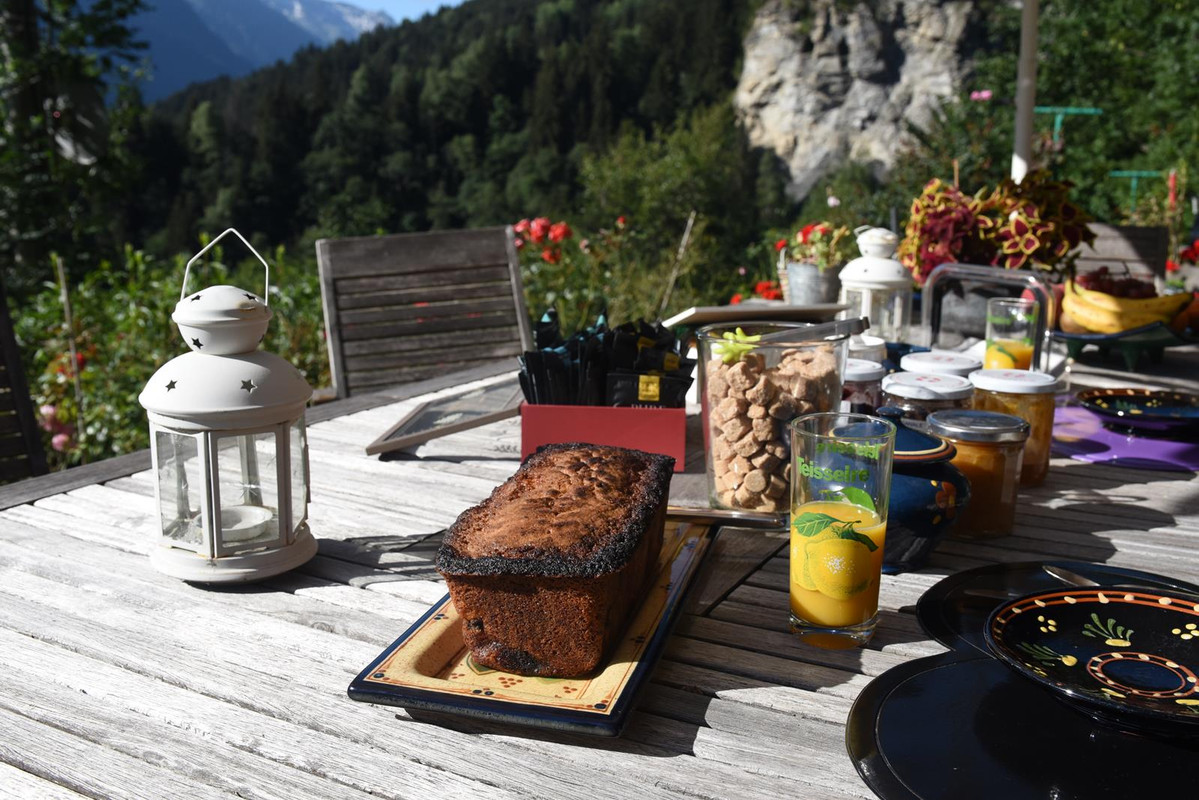 Huyendo del COVID a los Alpes (2020) - Blogs de Suiza - Alpes franceses (Zona de Chamonix) y regreso (3)