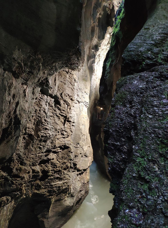 Huyendo del COVID a los Alpes (2020) - Blogs of Switzerland - De casa a Grindelwald (Zona de Interlaken) (84)