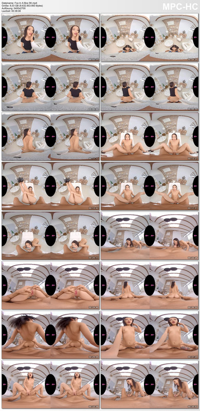 Fox In A Box 5K.mp4_thumbs_[2020.04.08_19.40.28]