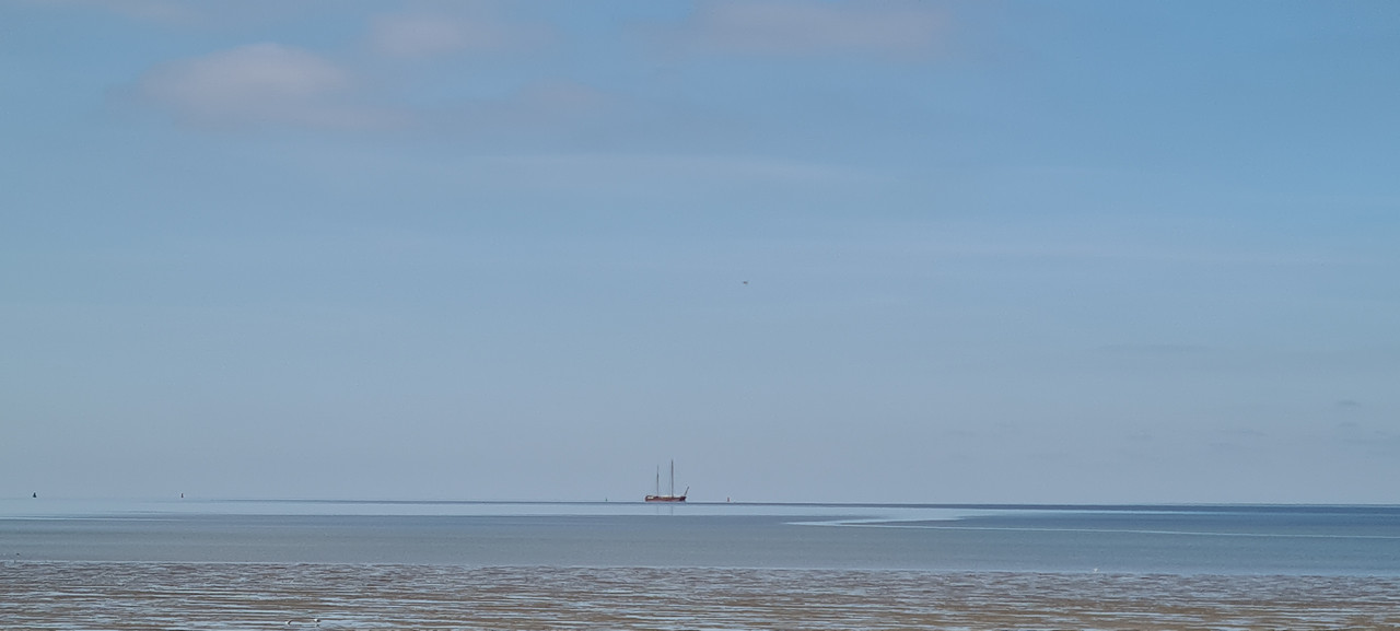20250408-103848.jpg