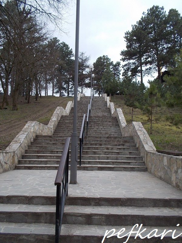 Slika