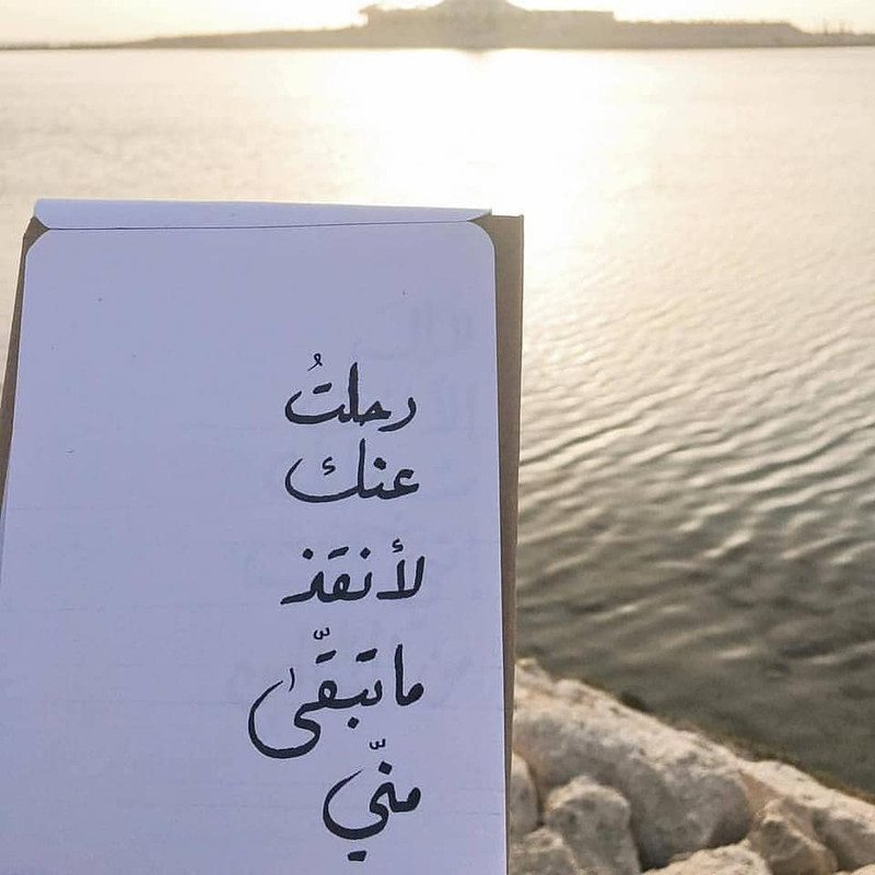 ���� ���� ������ �� ���� ������