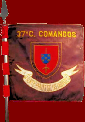 37-CCmds-Vm