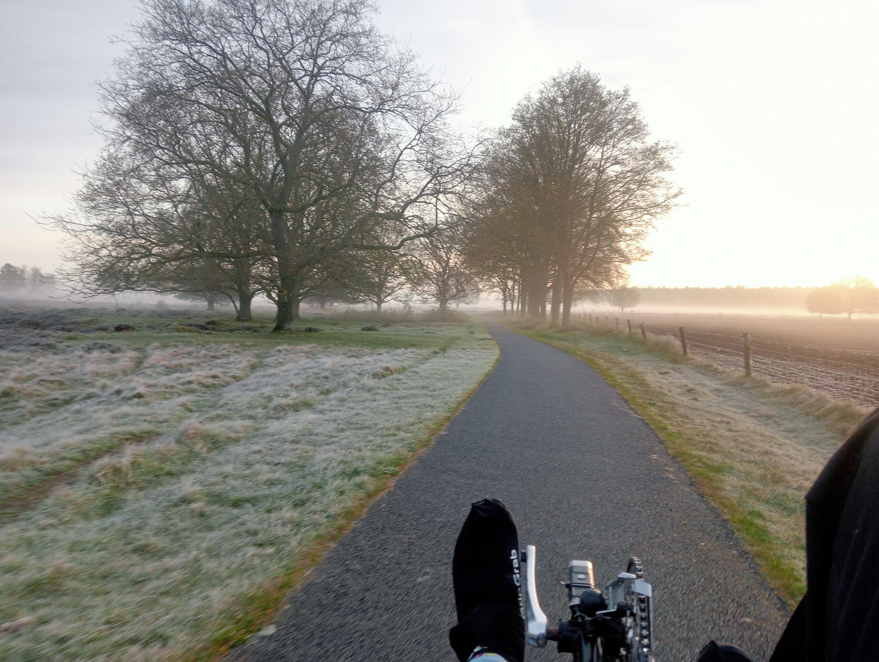 [Afbeelding: IMG20260427065513.jpg]