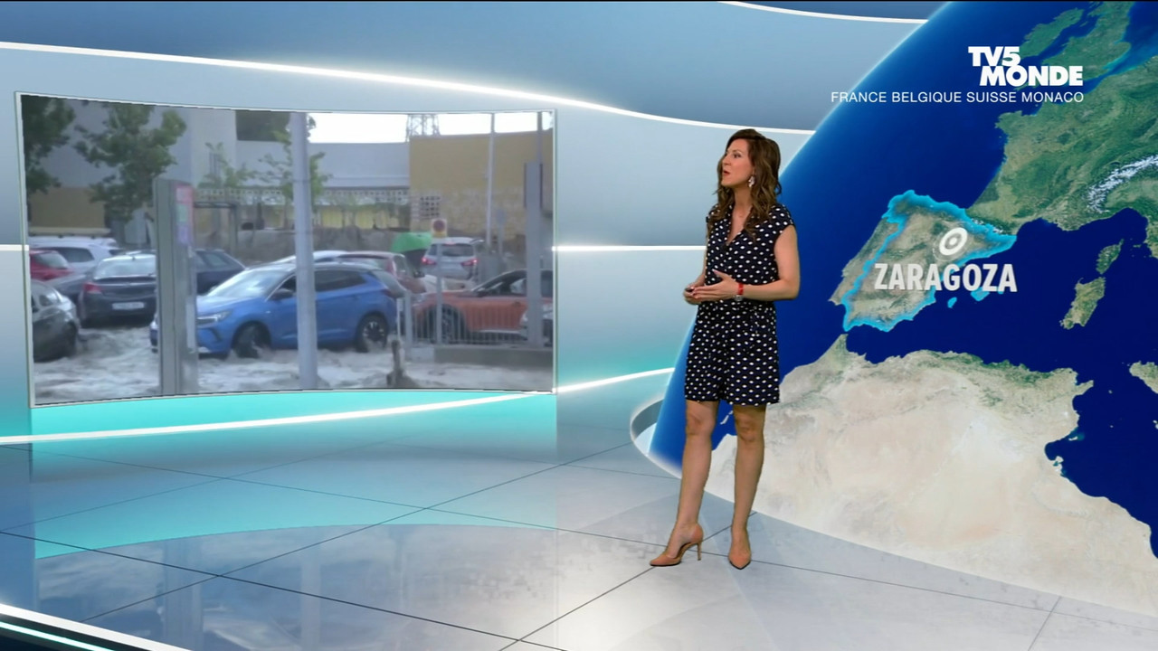 L'invité 2023_07_08_17_25_00 - L'INVITE TV5MONDE - 08 07 23.ts_snapshot_04.09.186