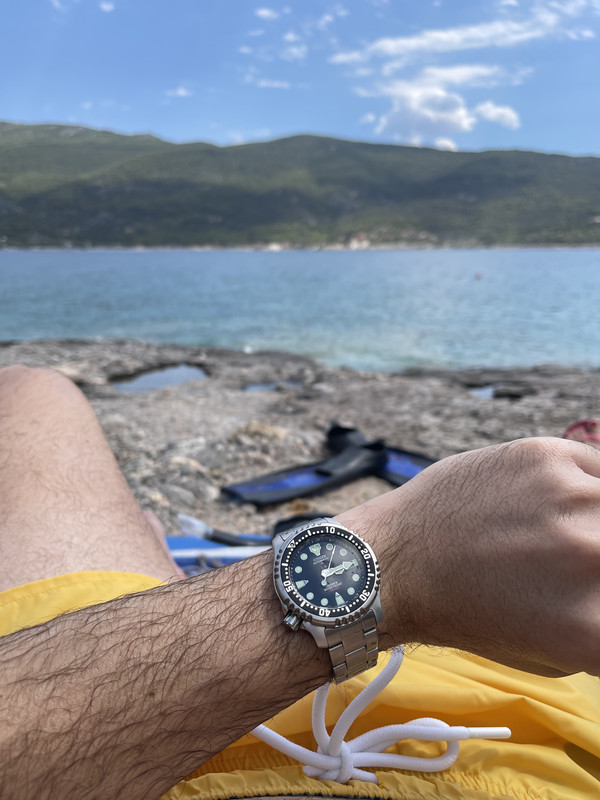 BD3A684D-F14B-476C-A586-F9AEFC9BCF92