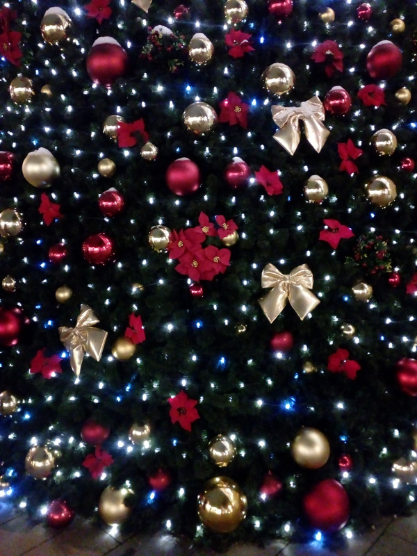 IMG_20171224_212937_1CS