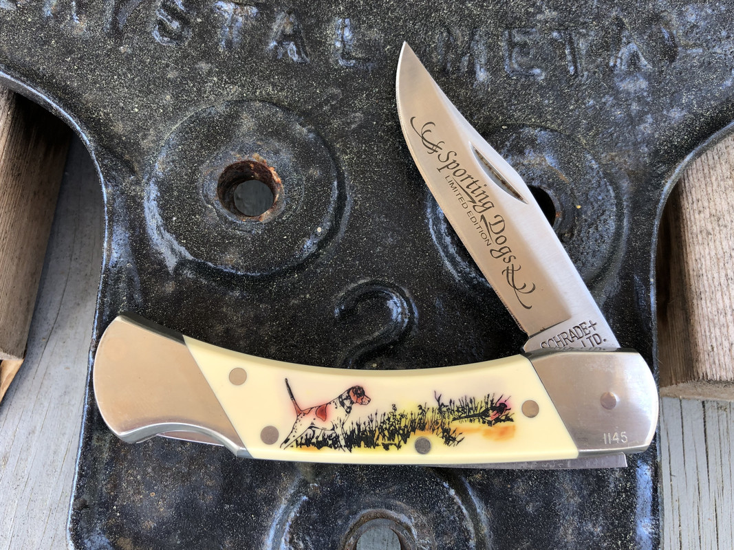 Schrade-Sporting-Dogs-LB7-English-Pointer.jpg