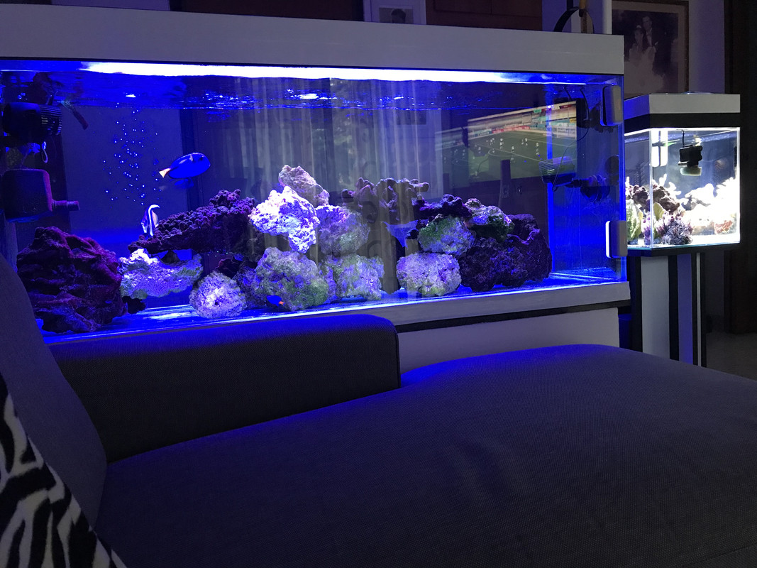 F89CAE86-CC26-45EE-8317-9E33A03AE94B