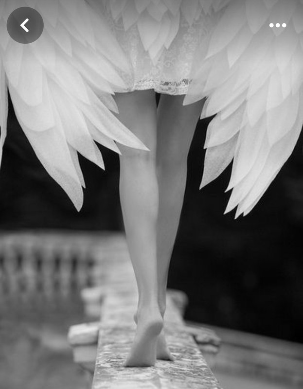 Screenshot_20240409_003504_Pinterest