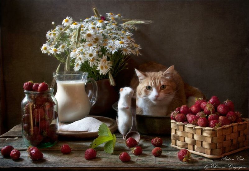 11701161-584684714968329-8135269408777608160-n