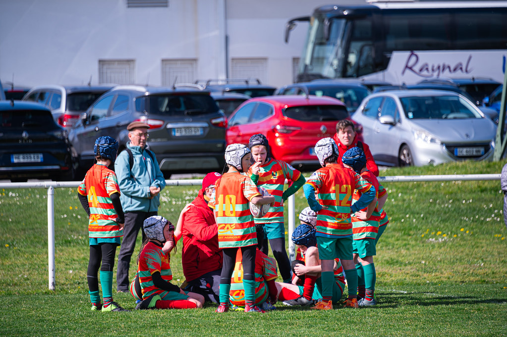 tournoi-de-latlantique-2026-adonis-griffon-140-55181456068-l